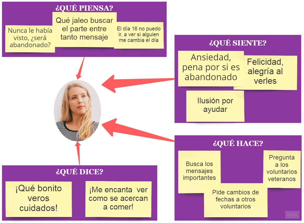 mapa empatia proyecto arbusto